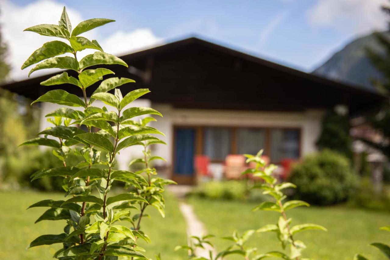 Forellenhof Appartements & Grossmutters Bungalow 洛伊塔施 外观 照片